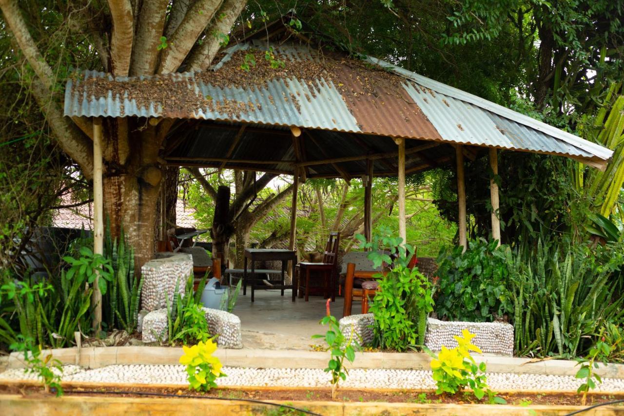 باجامويو Mikoko Beach & Cottages المظهر الخارجي الصورة