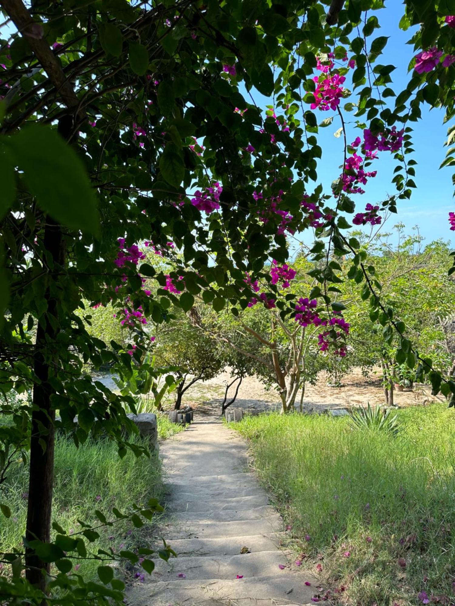 باجامويو Mikoko Beach & Cottages المظهر الخارجي الصورة
